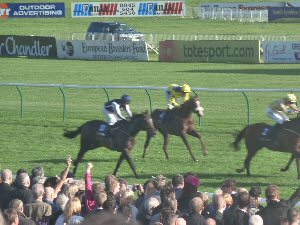 Photo of Ayr Racecourse sponsorship